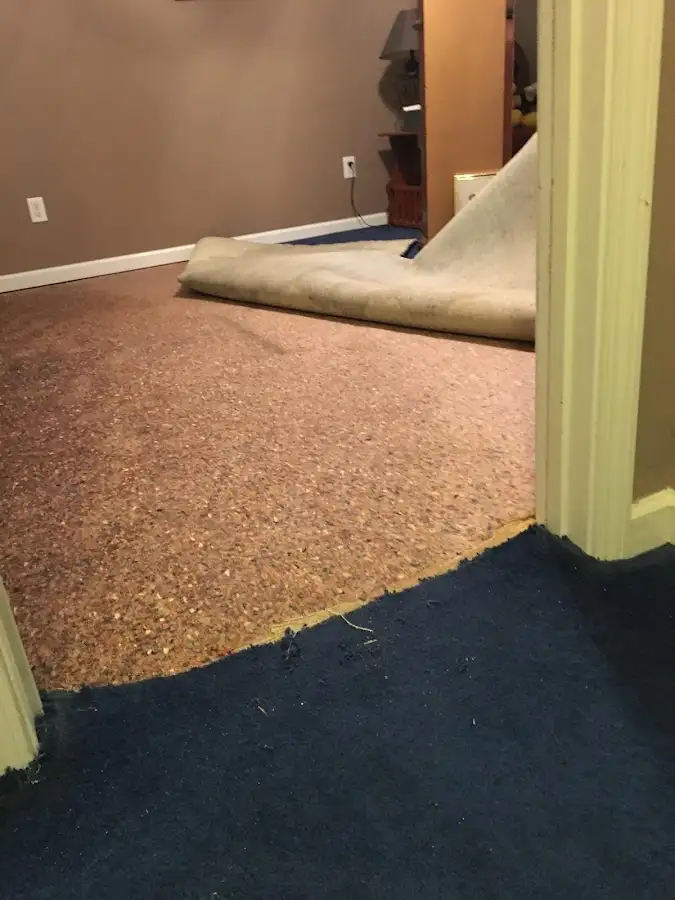 Carpet pad removal revealing water damage during Water Mitigation Services in Rothschild