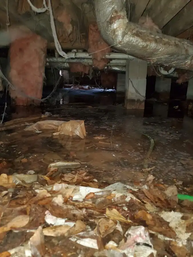 Crawl space flood assessment for Leak Detection & Repair in Rothschild